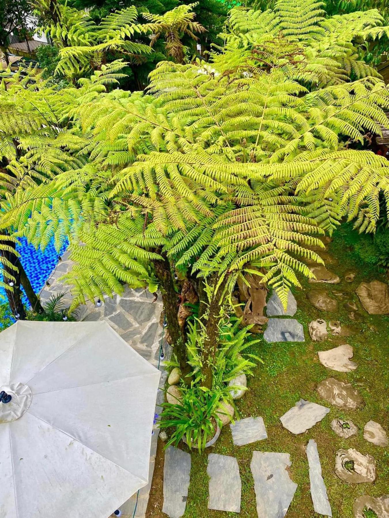 Love House Homestay Sapa 外观 照片